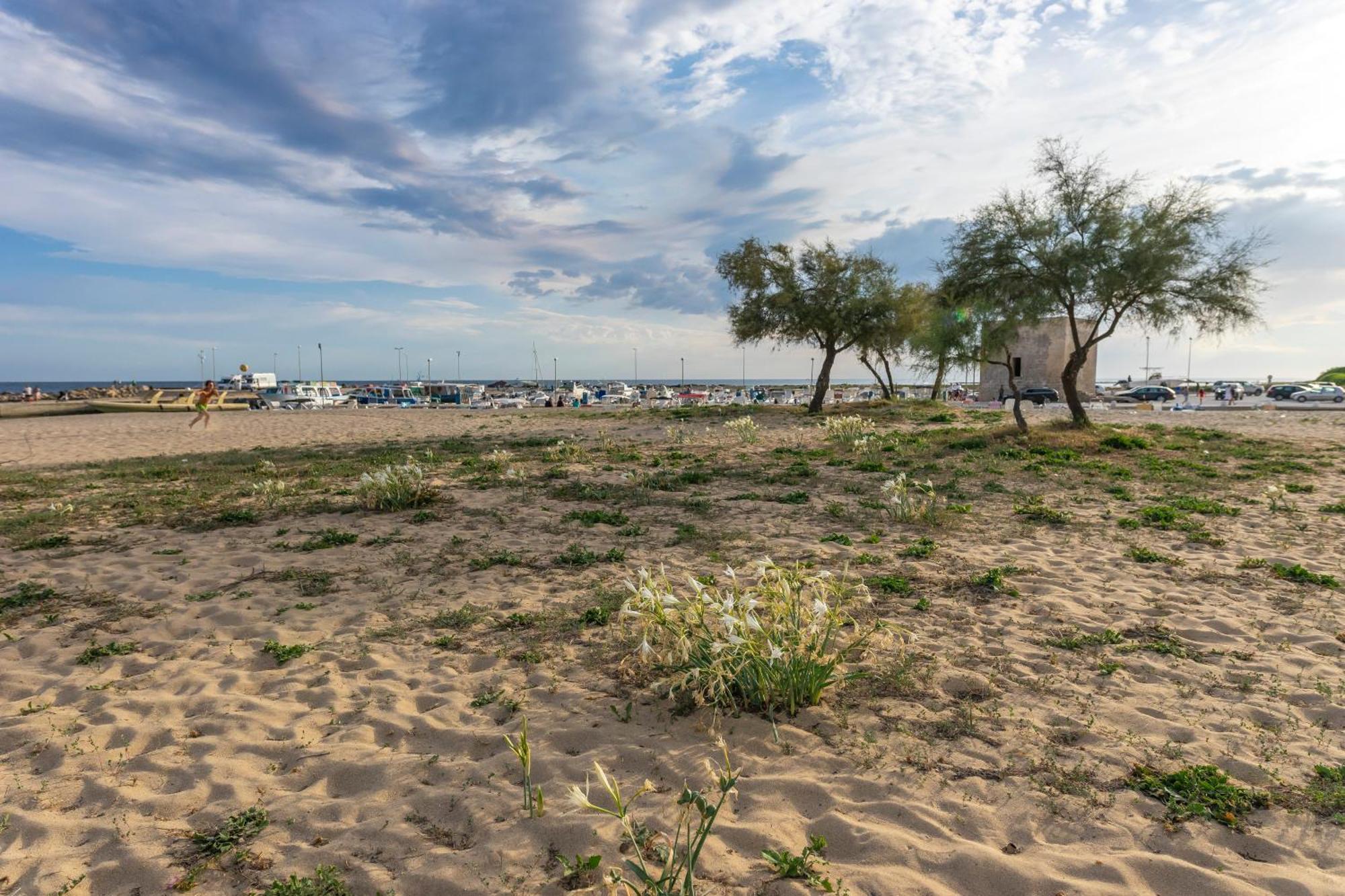Andrew's - Playita Ferienhaus