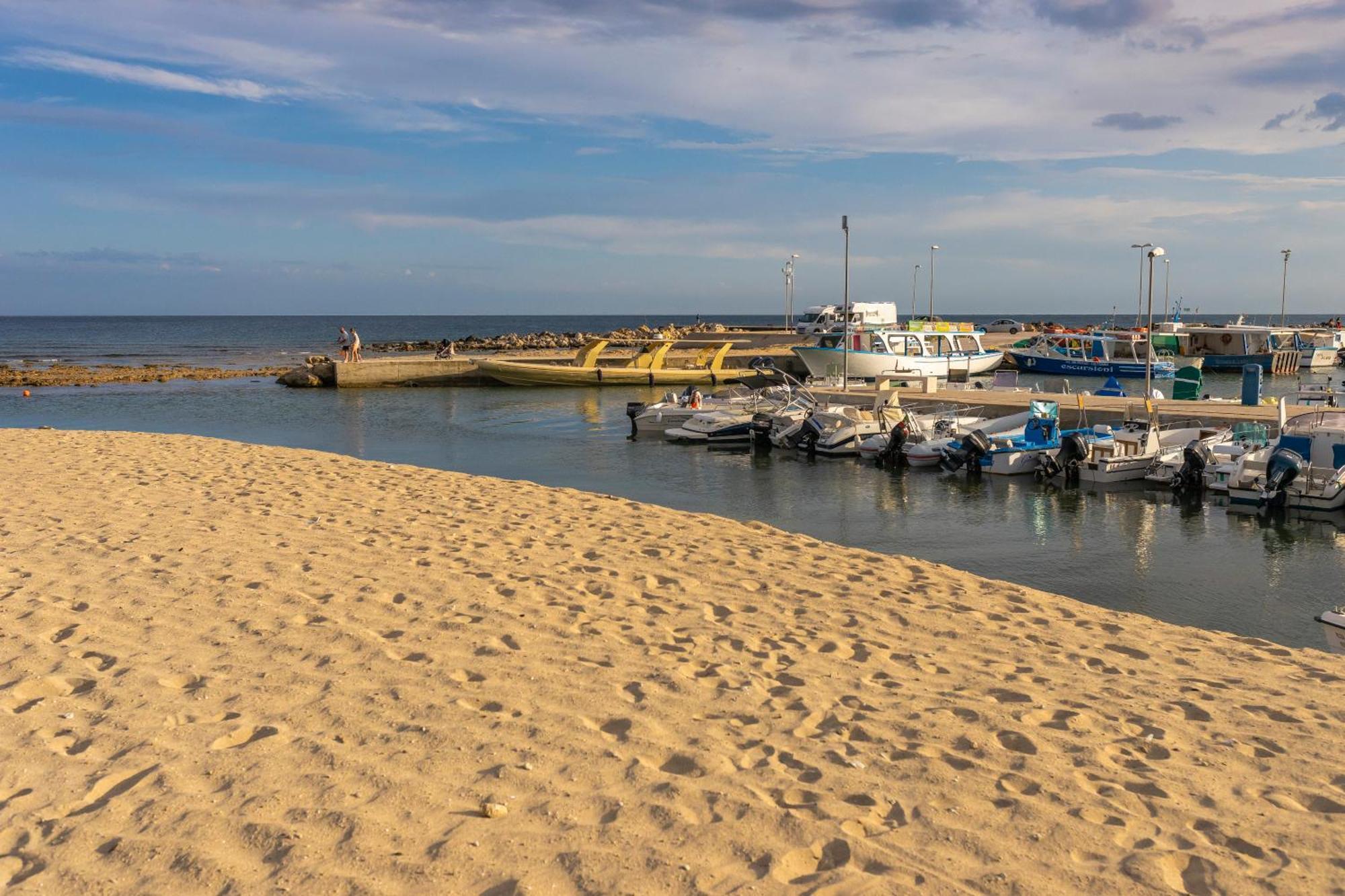 Andrew's - Playita Torre Pali